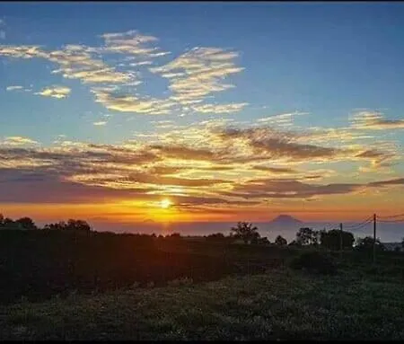 Panzió La Collina Di Tropea *
